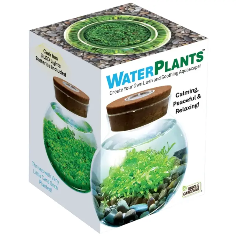 Water Plants
