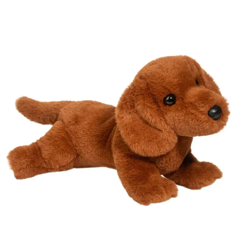 Delanie Dachshund