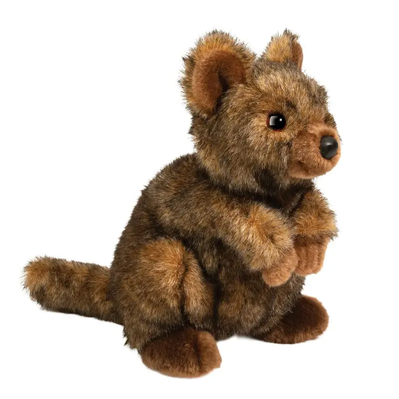 Quinn Quokka