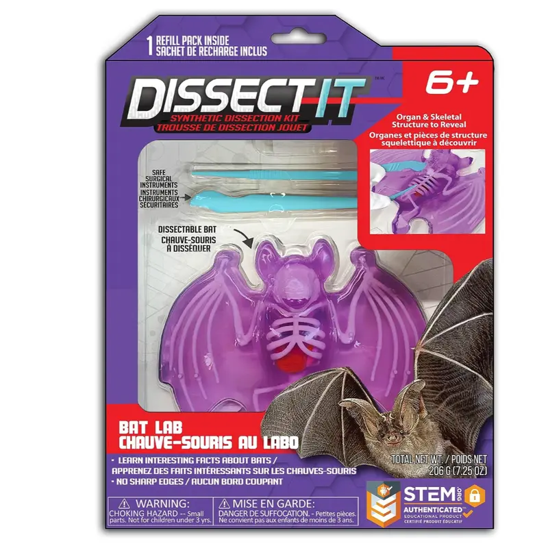 Dissect It Bat Lab