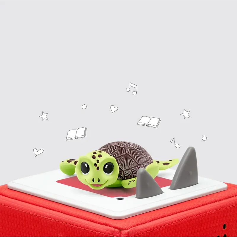 Sea Turtle Conservation Crew