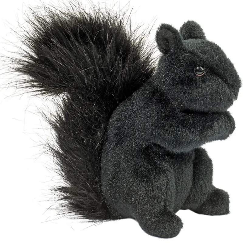 Black Squirrel