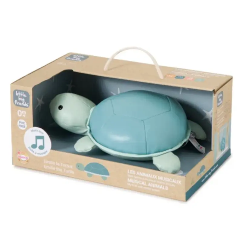 Turtle Musical Animal