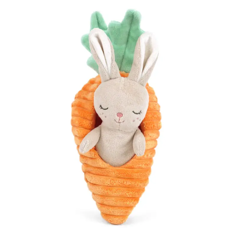Bunny in Carrot