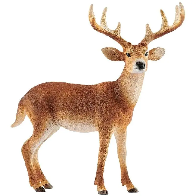 White-tailed Buck (14818)