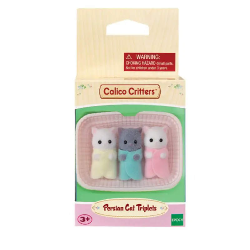 Persian Cat Triplets