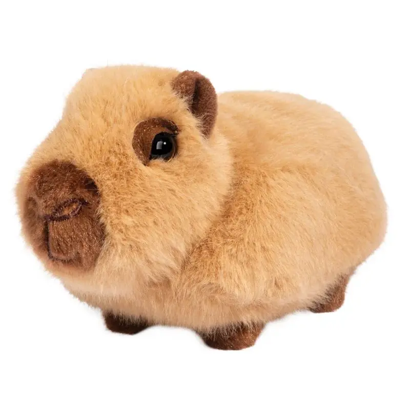 Chattie Capybara