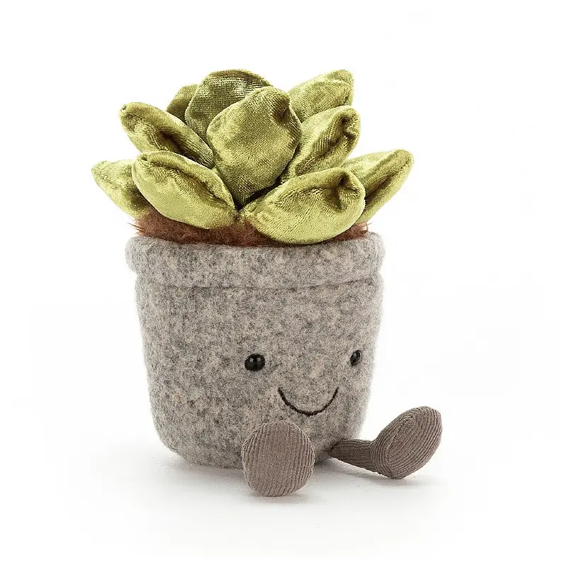 Silly Succulent Jade