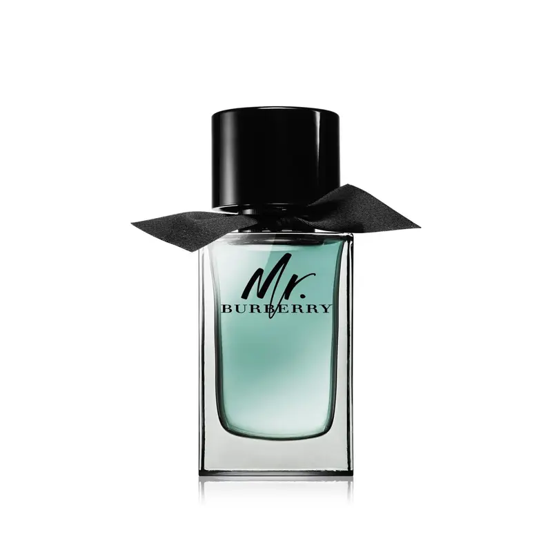 Mr. Burberry - Eau de Toilette