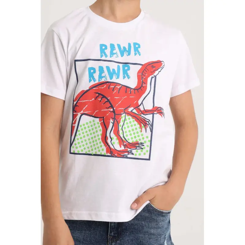 Boys Short-Sleeved T-Shirt  White Dinosaur Rawr Rawr