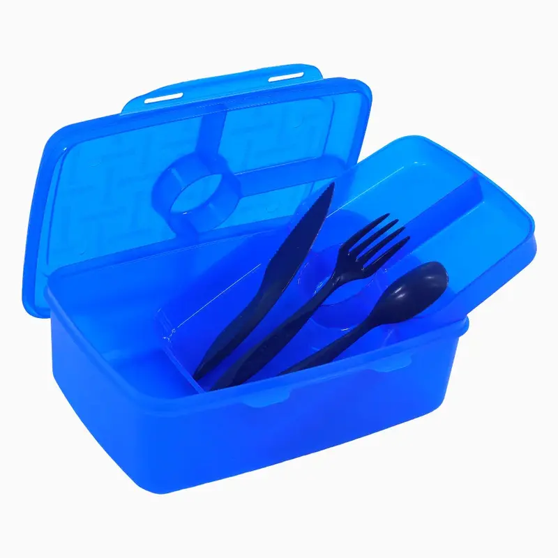 Blue Transparent Plastic Lunch Box  2L