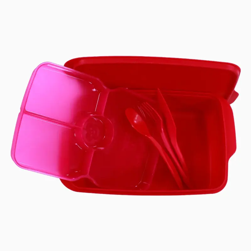 Fuchsia Plastic Lunch Box  1.5L
