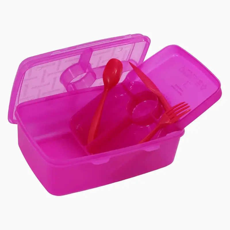 Fuchsia Transparent Plastic Lunch Box  2L