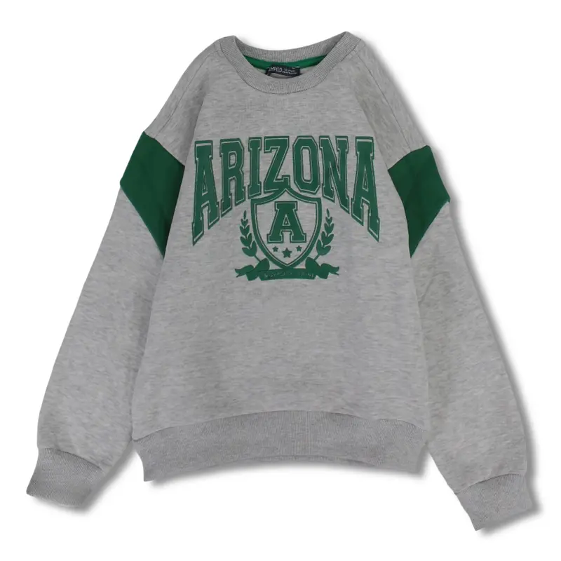 Boys Cotton Sweatshirt - Grey with Arizona Print