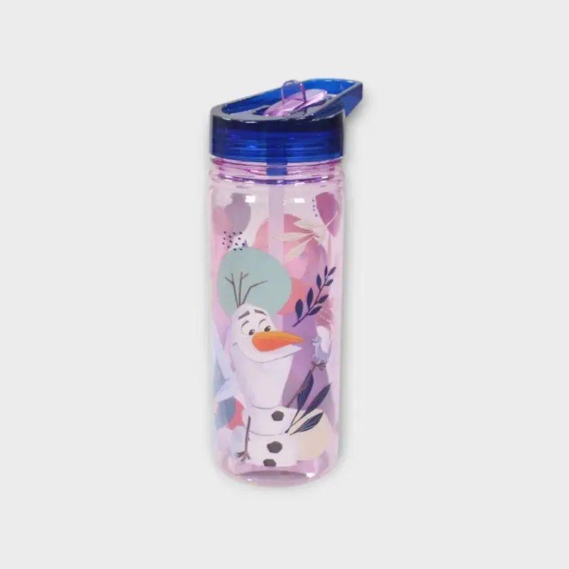 Frozen 580 ML Large Ecozen Bottle