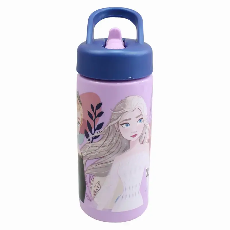 Stor Frozen Playground Sipper Bottle 410ml