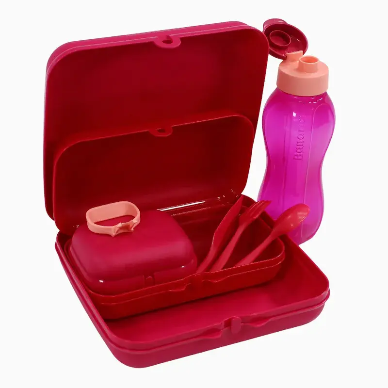 Fuchsia Plastic Lunch Box Set  (5-in-1 Easy Lock)