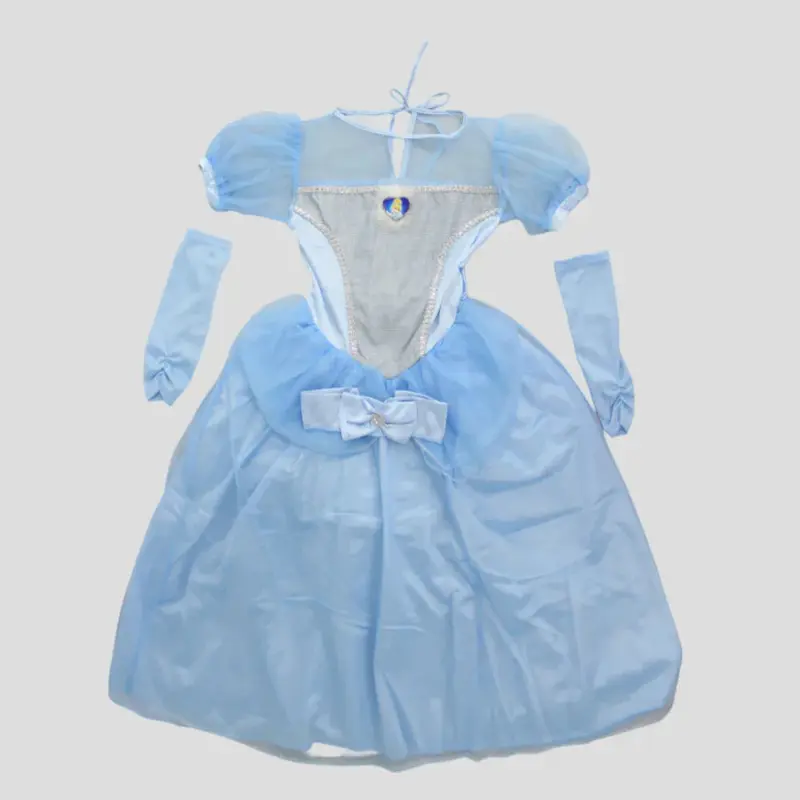 Cinderella Costume