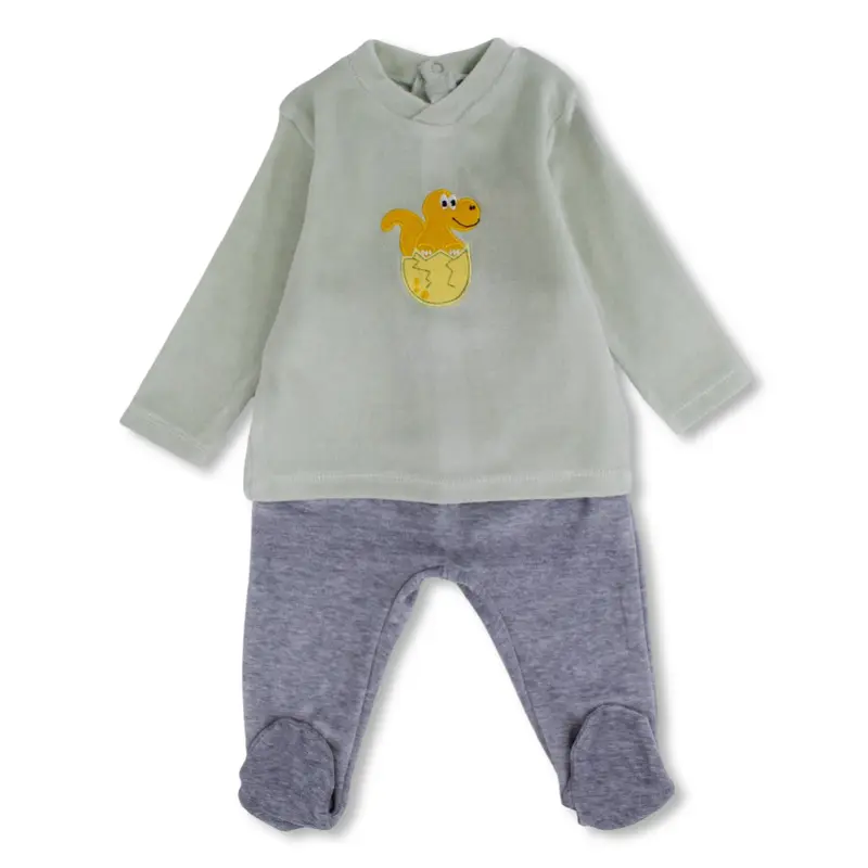 Baby Boys Velvet 2-Piece Outfit Set  Mint/Grey with Dinosaur Design