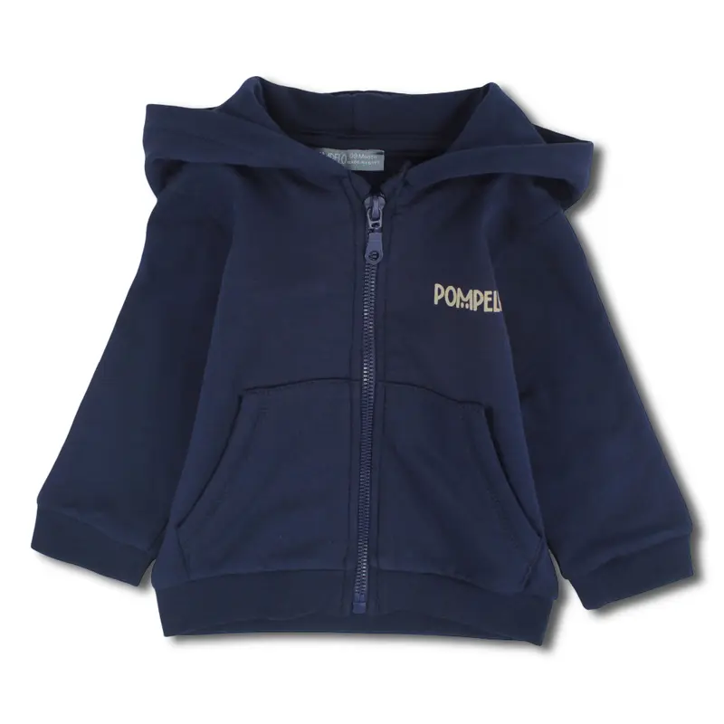 Baby Boys Cotton Hoodie