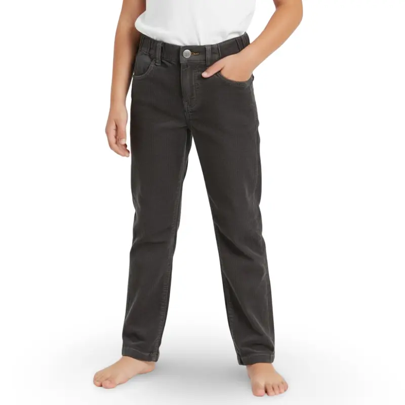 Boys Velvet Pants  Grey