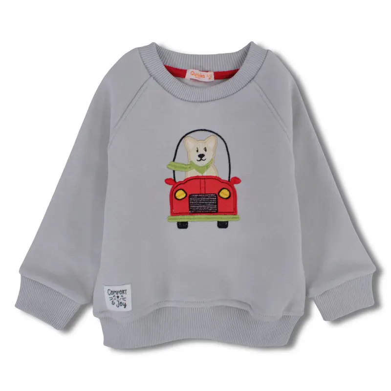 Boys Cotton Sweatshirt - Dog in Car Design