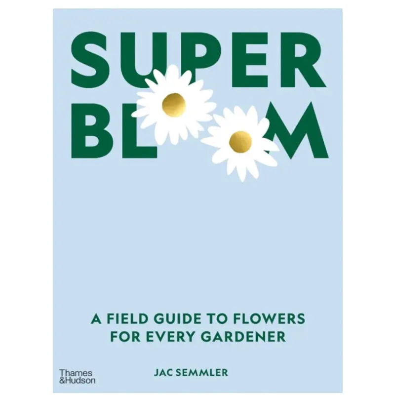 Super Bloom - Jac Semmler