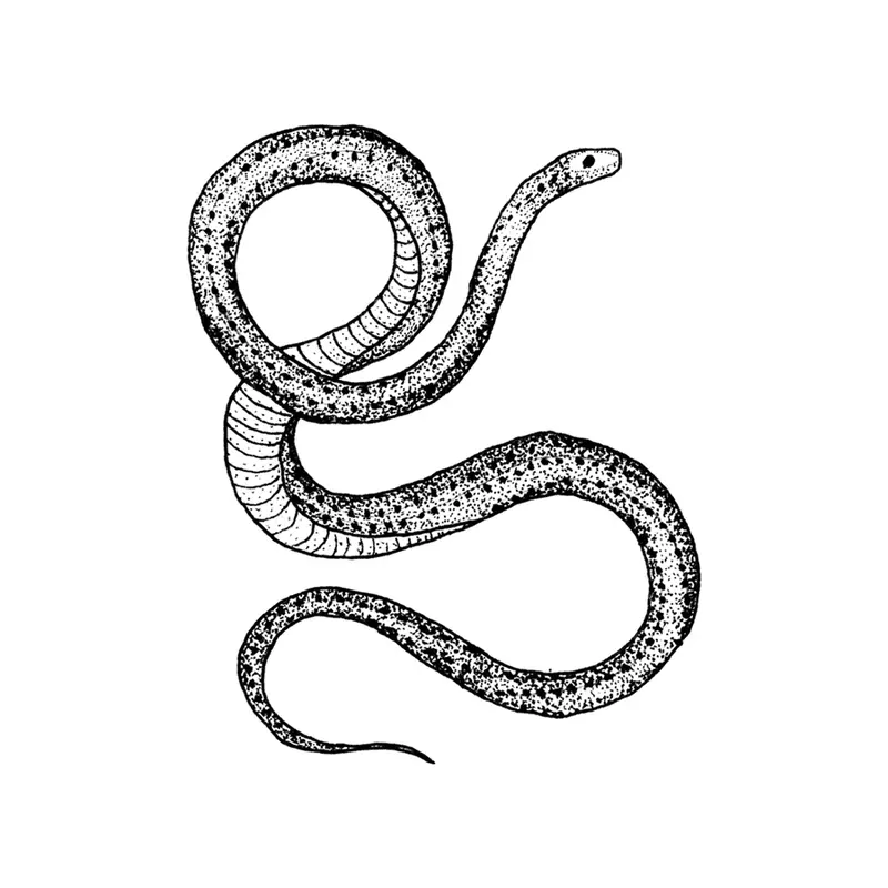 Tattly - Serpent Tattoo Pair